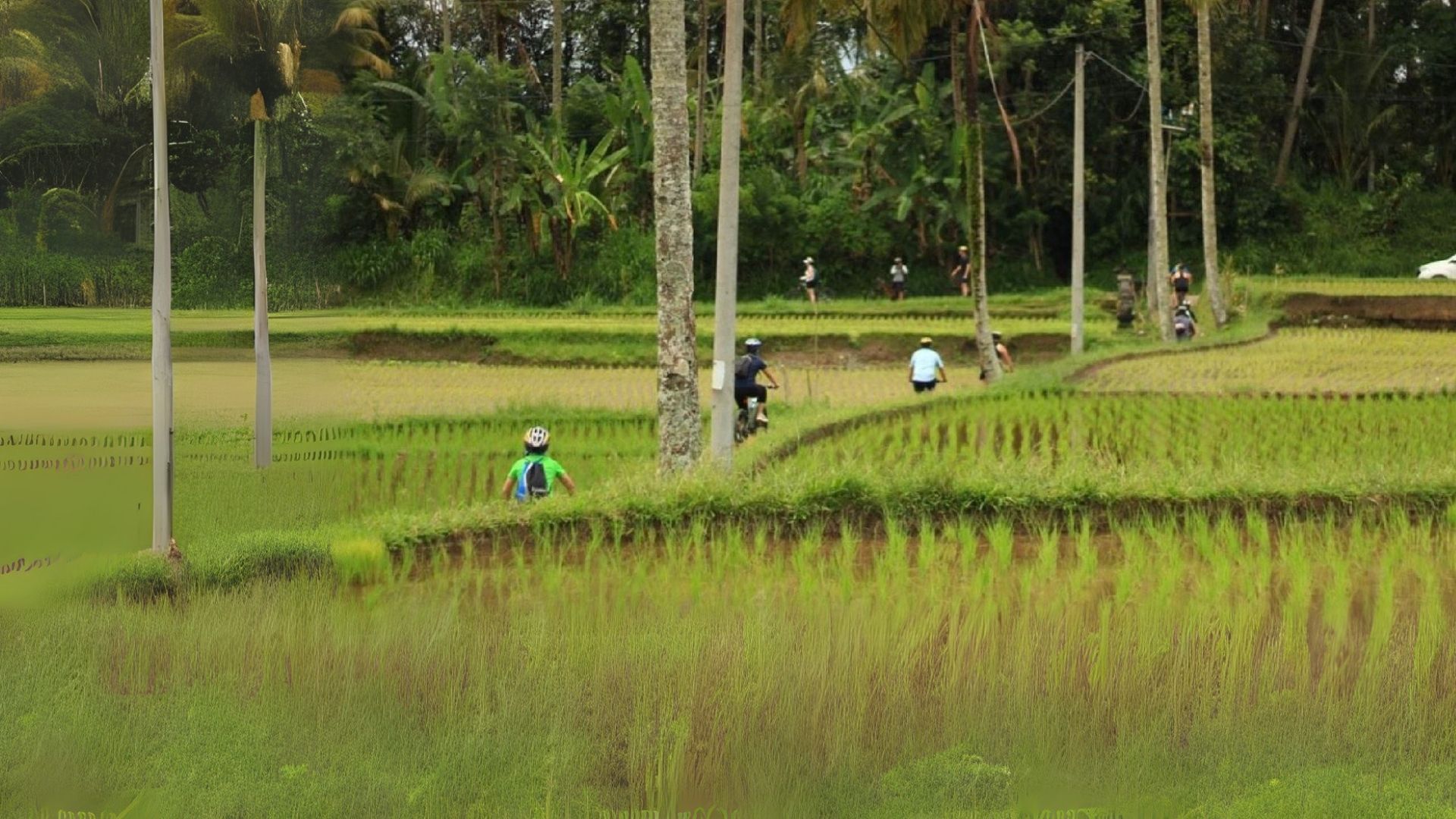 Gowez Adventure - Cycling In Bali
